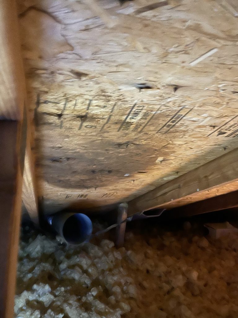 attic mold